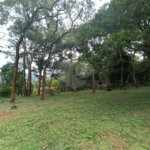 Sítio à venda com 6 quartos, sendo 5 suítes,  em Alto da Serra (mailasqui), São Roque, SP