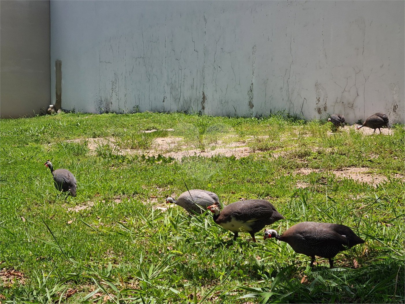 Terreno à venda no condomínio Renaissance, Sorocaba - SP
