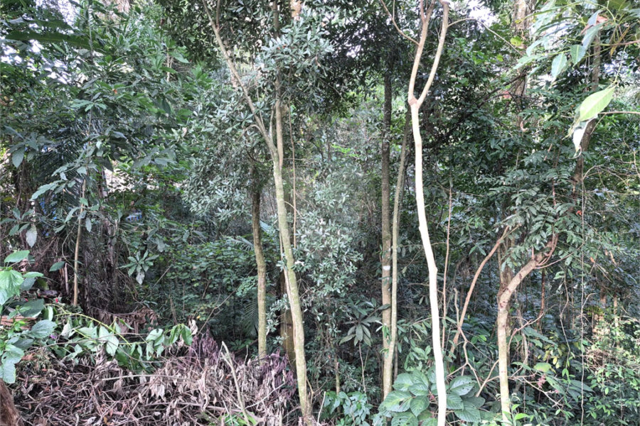 Terreno à venda em Serra da Cantareira, Mairiporã, SP