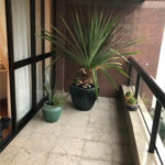 Apartamento à venda com 4 quartos, sendo 3 suítes, em Vila Suzana, São Paulo, SP