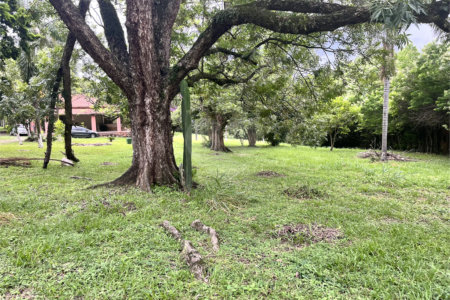 Terreno à venda em Loteamento Terras de São Pedro e São Paulo, Salto, SP