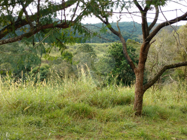 Terreno à venda em Horto, São Paulo, SP