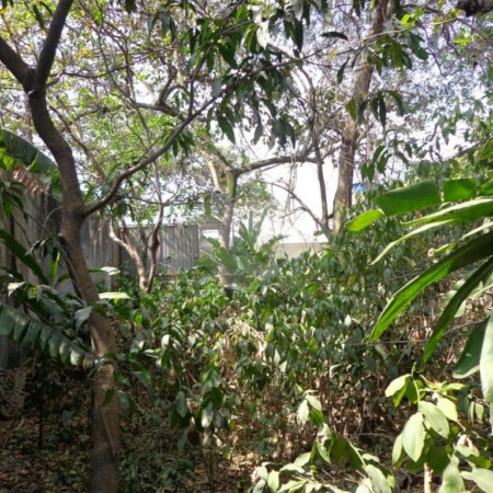 Terreno à venda em Chácara São João, São Paulo, SP
