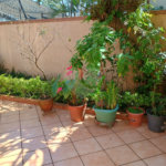 Casa à venda com 3 quartos, sendo 1 suíte,  em Tremembé, São Paulo, SP