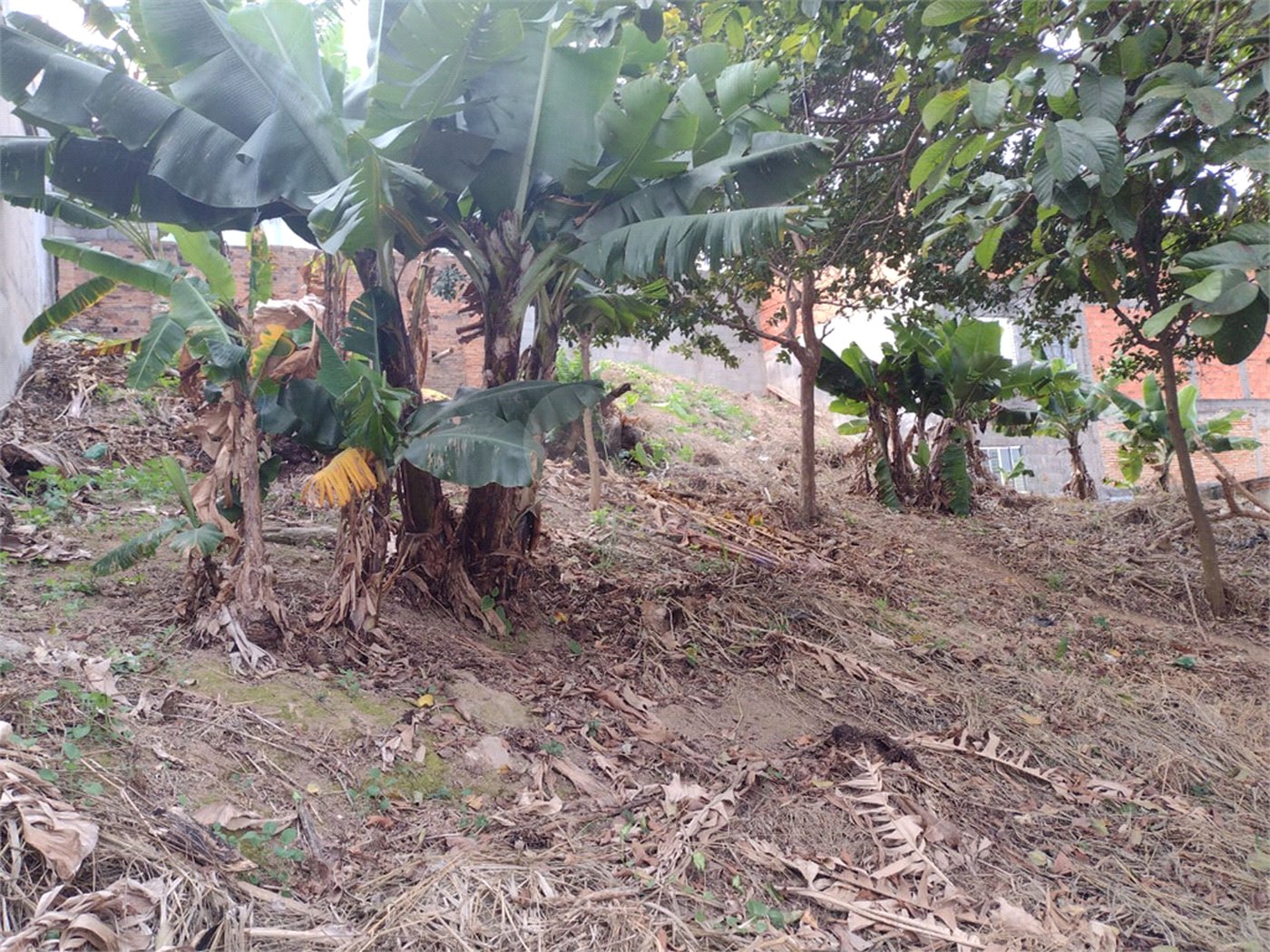 Terreno à venda em Vila Romero, São Paulo, SP