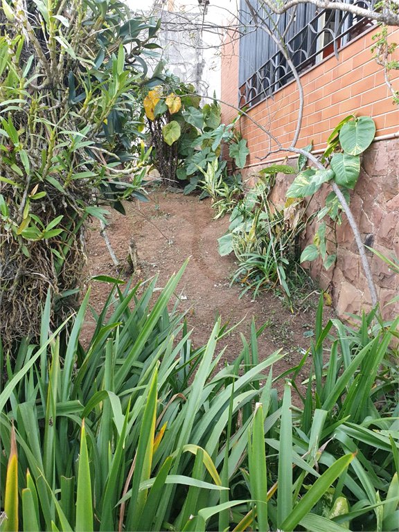 Terreno à venda em Vila Paulicéia, São Paulo, SP