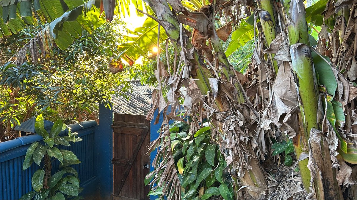 Casa à venda com 2 quartos em Tucuns, Armação dos Búzios, RJ