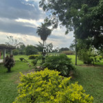 SÍTIO À VENDA EM ELIAS FAUSTO 21.900 m² - ÓTIMA TOPOGRAFIA E EXCELENTE LOCALIZAÇÃO