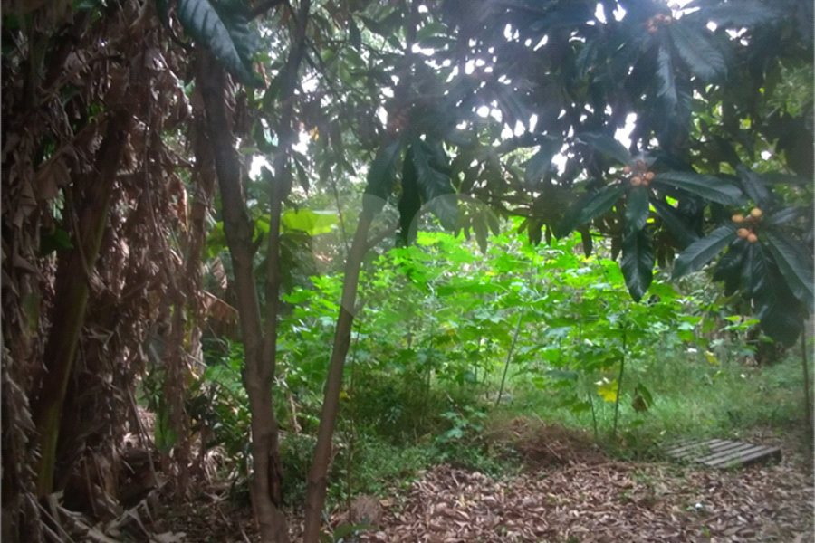Terreno à venda em Casa Verde, São Paulo, SP