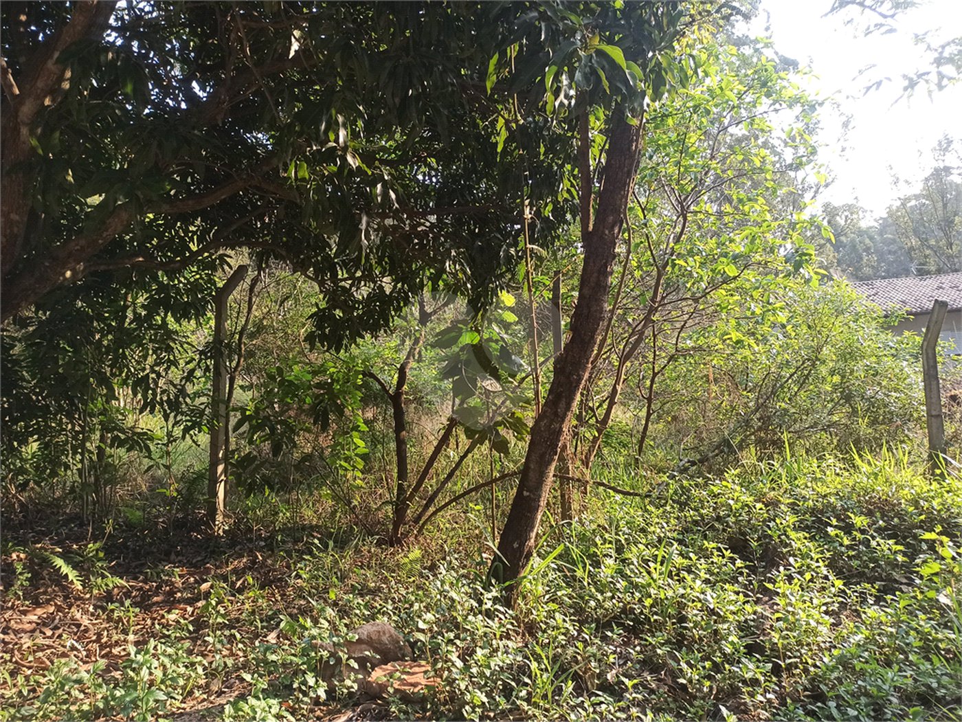 Terreno à venda em Bosque dos Eucalíptos, Atibaia, SP