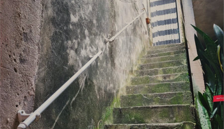 Sobrado à venda com 6 quartos em Água Fria, São Paulo, SP