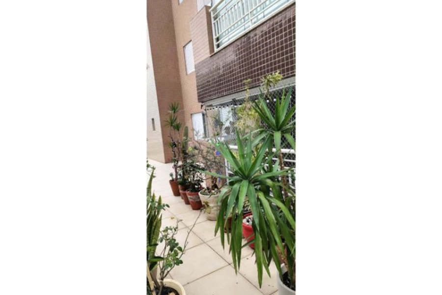 Apartamento à venda com 2 quartos, sendo 1 suíte, em Parada Inglesa, São Paulo, SP