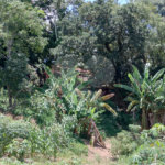 Chácara à venda com 4 quartos em Pinheirinho, Atibaia, SP
