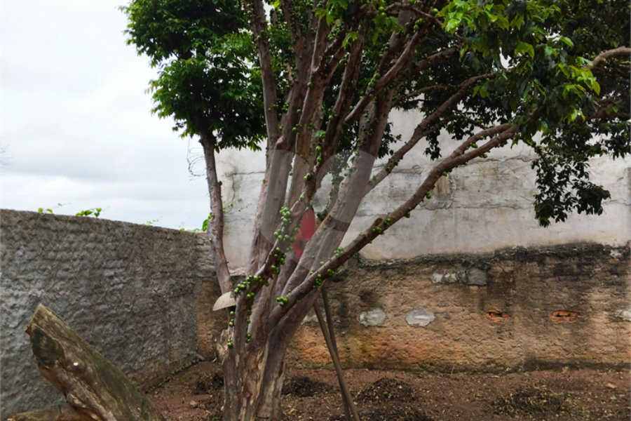 Sobrado à venda com 3 suítes em Tremembé, São Paulo, SP