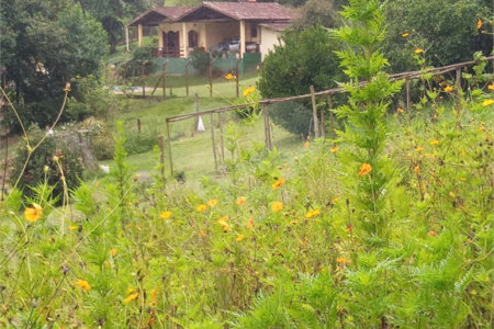 Chácara à venda em Sorocamirim (canguera), São Roque, SP