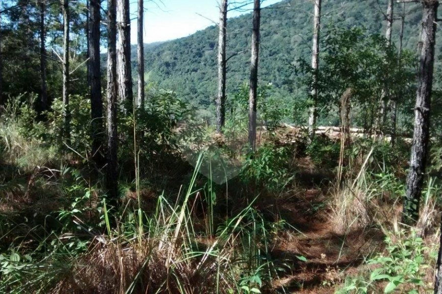 Terreno à venda em Jardim Glória, Miracatu, SP