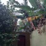 Terreno à venda em Vila Gustavo, São Paulo, SP