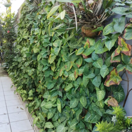 Casa de Vila à venda com 3 suítes em Jardim Londrina, São Paulo, SP