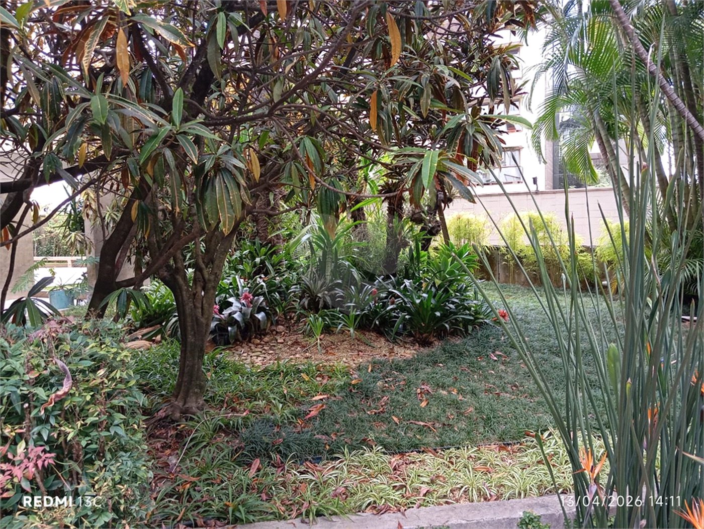 Apartamento para alugar com 2 quartos em Paraíso, São Paulo, SP