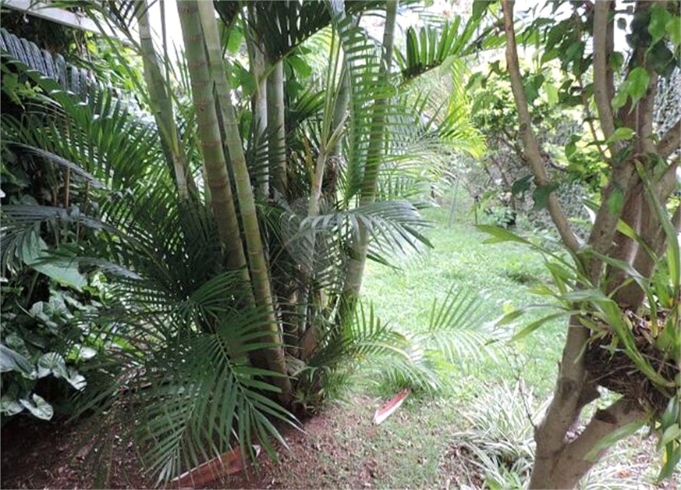 Sobrado à venda com 3 suítes em Pirituba, São Paulo, SP