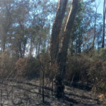 Terreno à venda em Caete (mailasqui), São Roque, SP