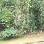 Terreno à venda no condomínio Alpes da Cantareira, Mairiporã - SP