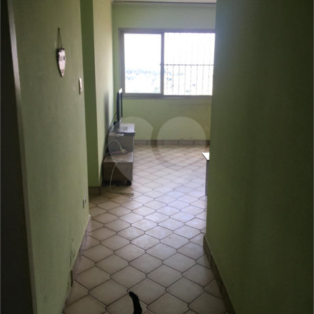 Apartamento para alugar com 3 quartos em Tucuruvi, São Paulo, SP