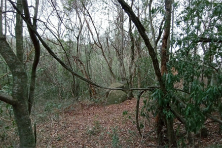Terreno à venda em Chácaras Alpina, Valinhos, SP
