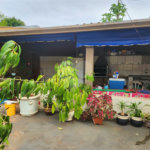 Casa à venda com 5 quartos, sendo 4 suítes, em Jardim do Carmo, Araraquara, SP