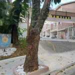 Casa à venda com 4 quartos, sendo 1 suíte, no condomínio Villas IV, São Paulo - SP