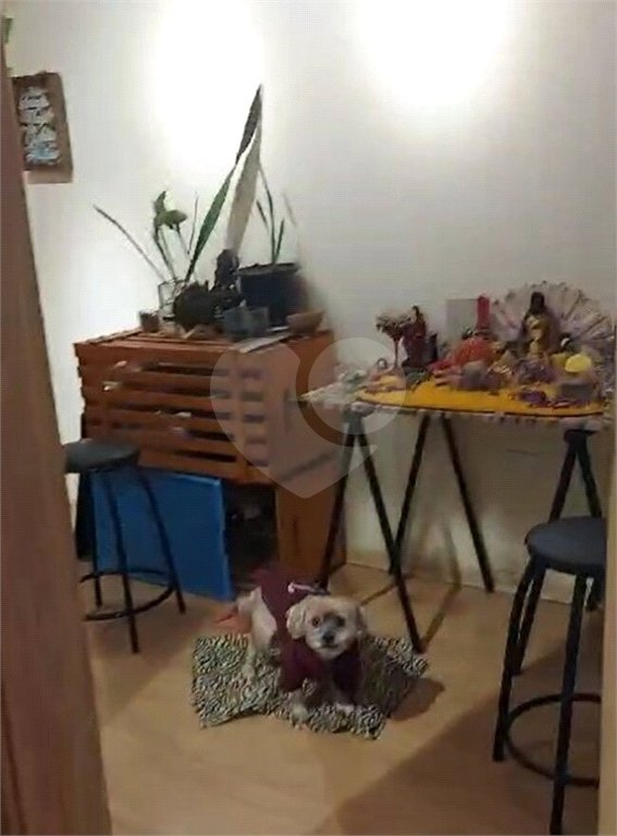 Apartamento à venda com 1 quarto em Bela Vista, São Paulo, SP