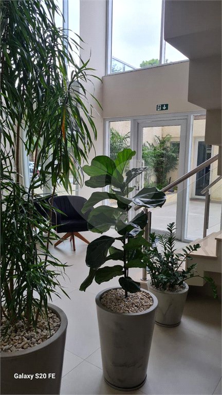 Apartamento à venda com 3 quartos, sendo 1 suíte, em Vila Galvão, Guarulhos, SP