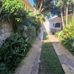 Casa Térrea à venda ou para alugar com 3 suítes em Vila Isolina Mazzei, São Paulo, SP