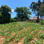 Área de Terra à venda em Cristóvão, Araçoiaba da Serra, SP