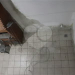 Casa à venda com 3 quartos, sendo 1 suíte, no condomínio Village Palmas, São Paulo - SP