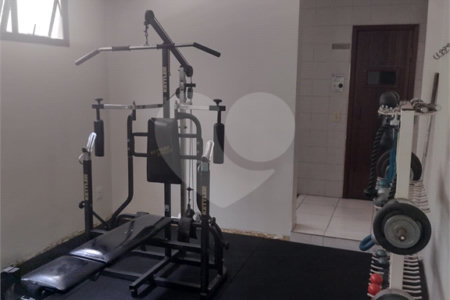 Apartamento à venda com 3 suítes em Vila Suzana, São Paulo, SP