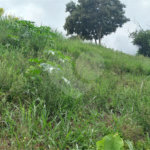 Terreno à venda no condomínio Jardim Primavera, Louveira - SP