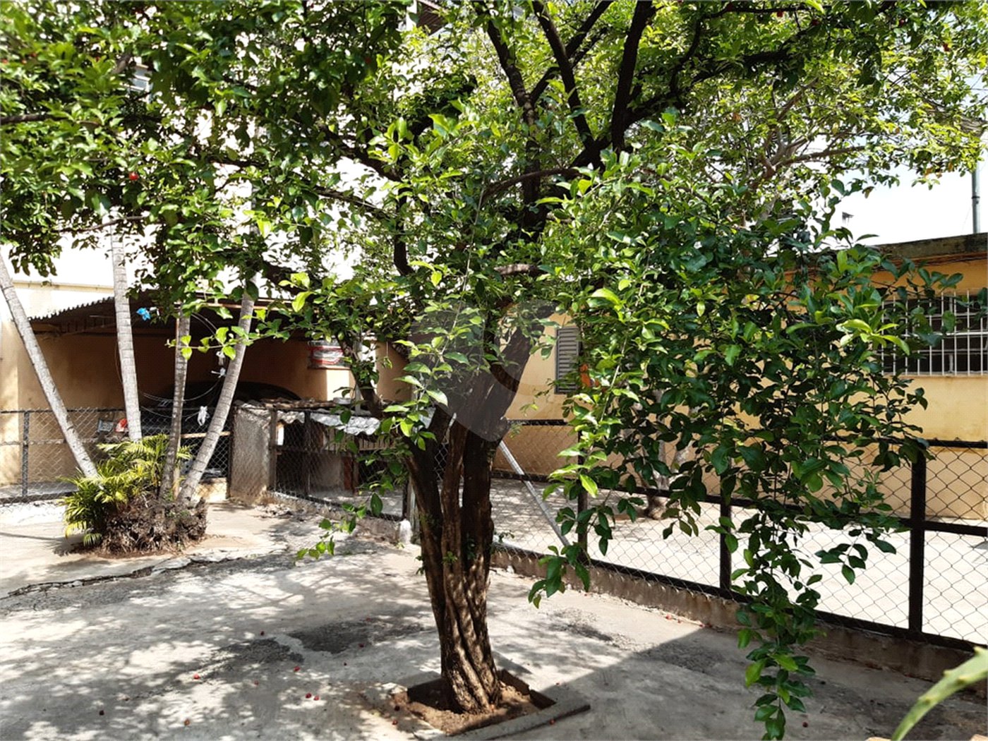 Prédio à venda em Tucuruvi, São Paulo, SP