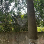 Terreno à venda em Jardim Campo Grande, São Paulo, SP