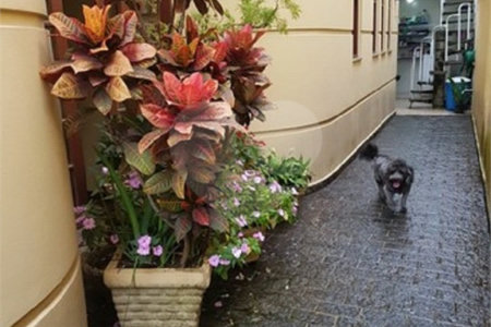 Sobrado à venda com 3 suítes em Lar São Paulo, São Paulo, SP