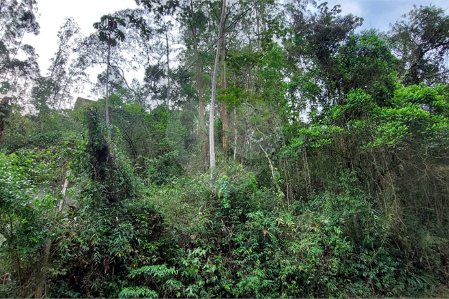 Terreno à venda no condomínio Sausalito, Mairiporã - SP