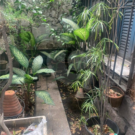 Casa à venda com 2 quartos, sendo 1 suíte, em Praça da Bandeira, Rio de Janeiro, RJ