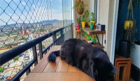 Apartamento à venda com 2 quartos, sendo 1 suíte, em Água Branca, São Paulo, SP