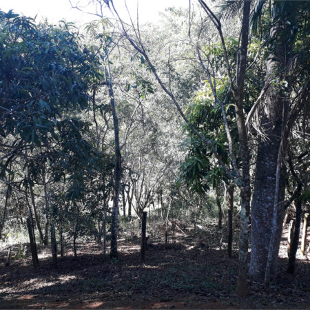 Sítio à venda com 9 quartos, sendo 7 suítes, no Centro, Monteiro Lobato, SP