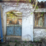 Sítio à venda em Vila Darcy Penteado (mailasqui), São Roque, SP