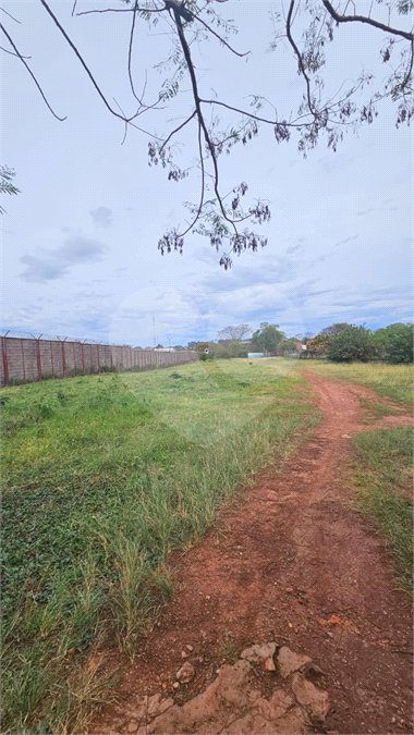 Terreno para alugar em Vila Áurea, Ponta Porã, MS