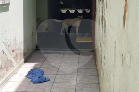 Sobrado à venda com 3 quartos, sendo 2 suítes, em Vila Gustavo, São Paulo, SP