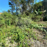 Terreno à venda em Campo Lindo, Seropédica, RJ