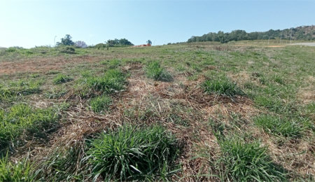 Terreno à venda com 1 suíte em Jardim Portugal, Valinhos, SP