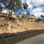 Terreno à venda em Parque Edu Chaves, São Paulo, SP